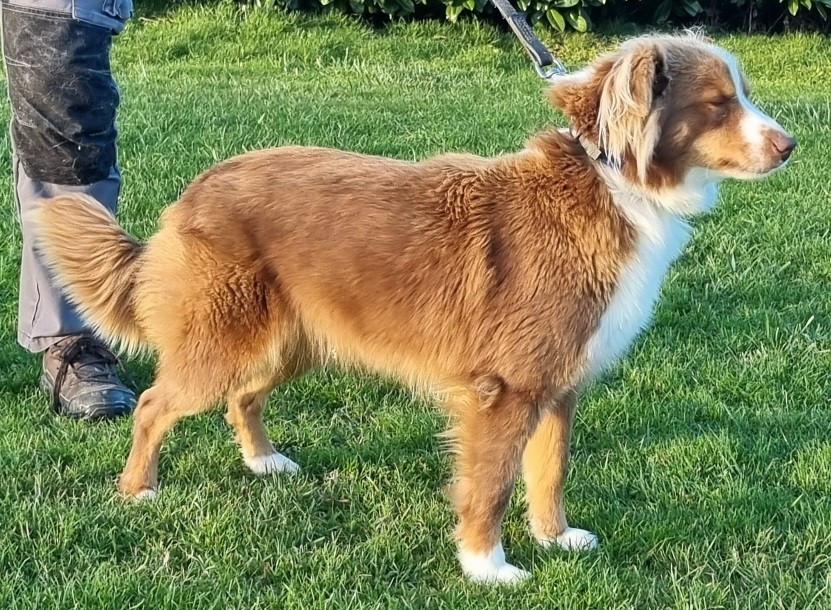 Unique Tierra (Sans Affixe)